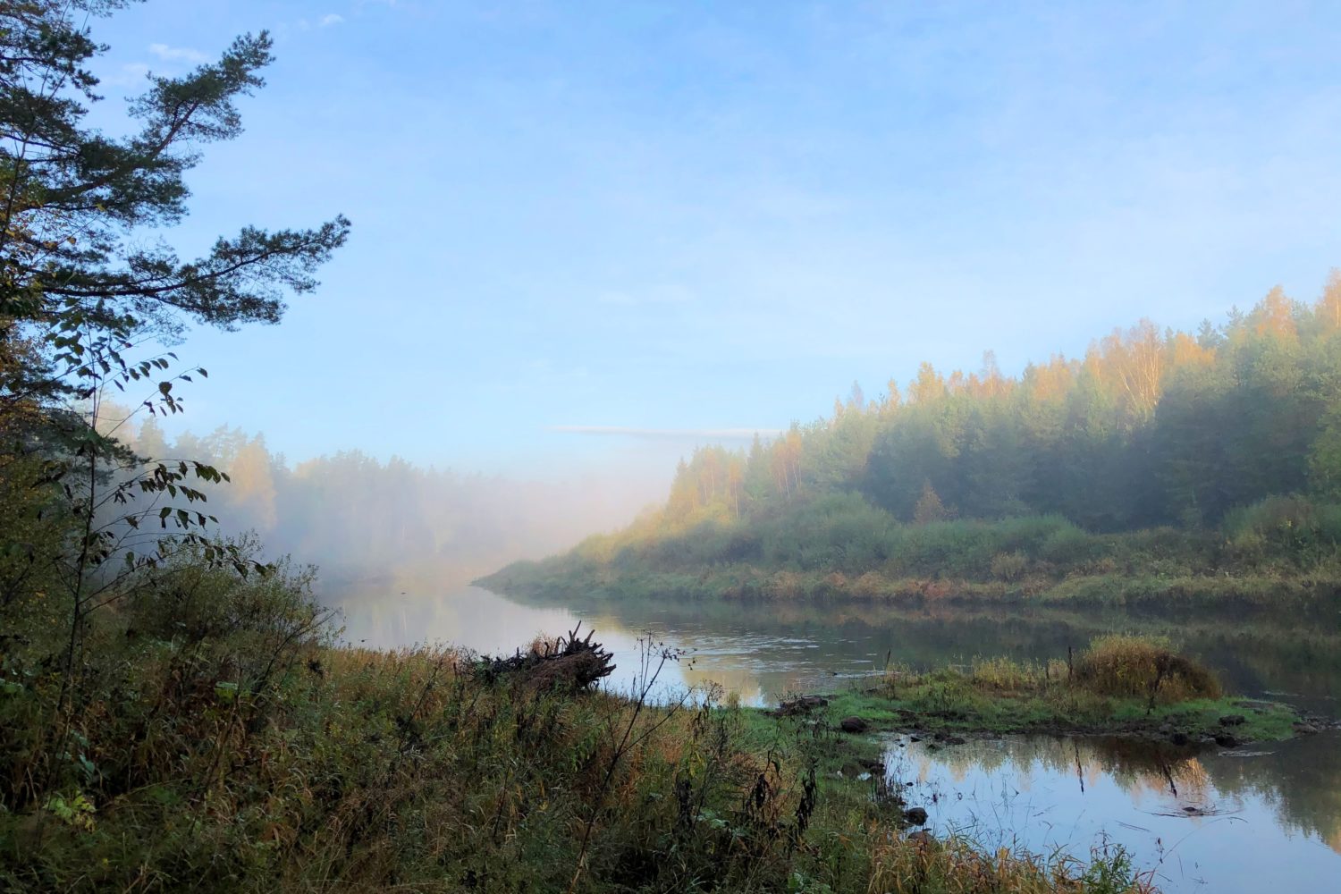 Gauja