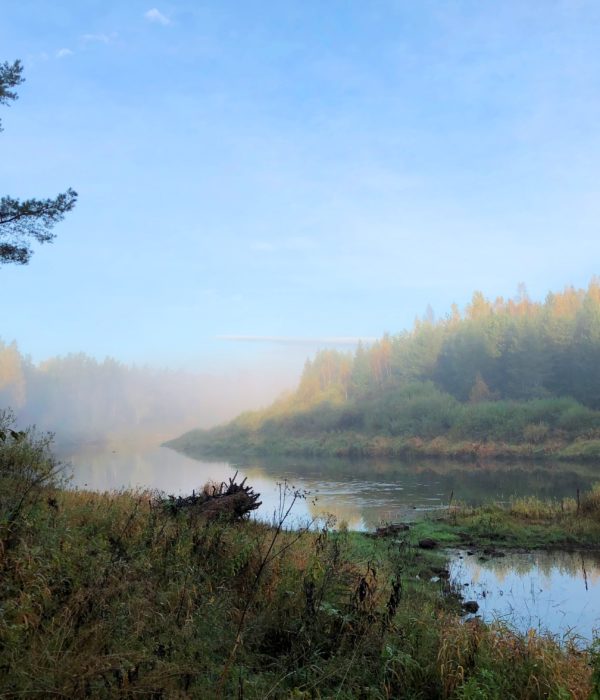 Gauja
