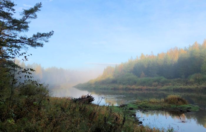 Gauja