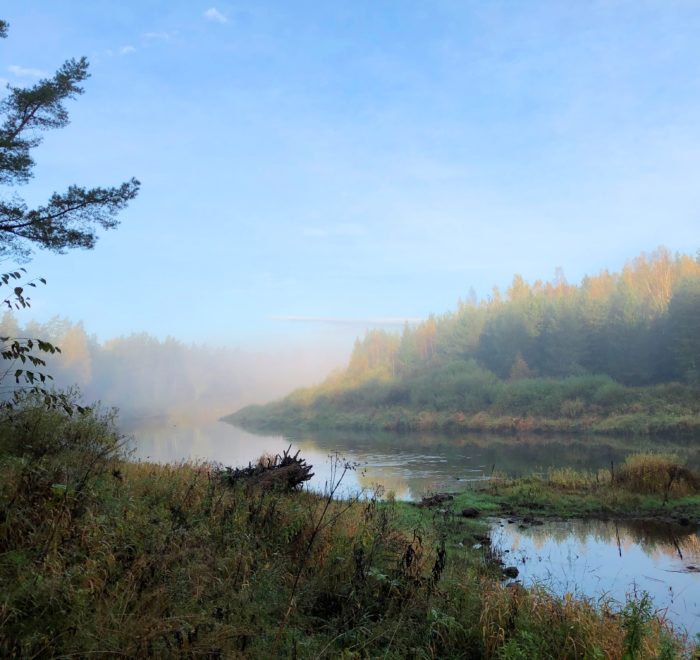 Gauja